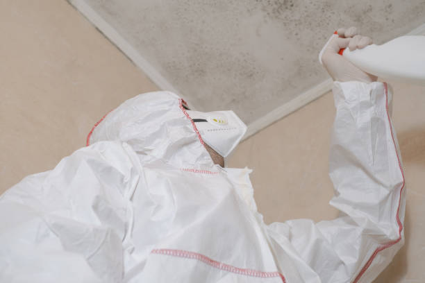 Best Mold Removal Specialists  in Greensboro, MD