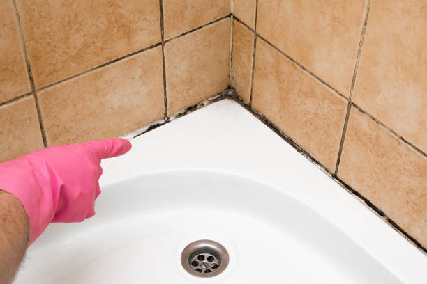 Best Residential Mold Removal  in Greensboro, MD